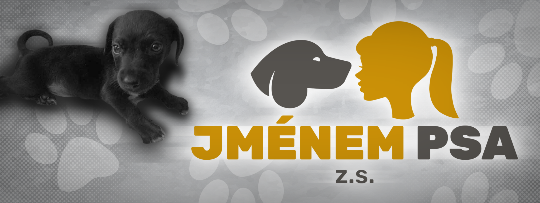 jménem psa z.s.